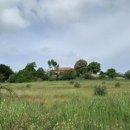 Domaine Le Commandaire Roumoules Exterior foto