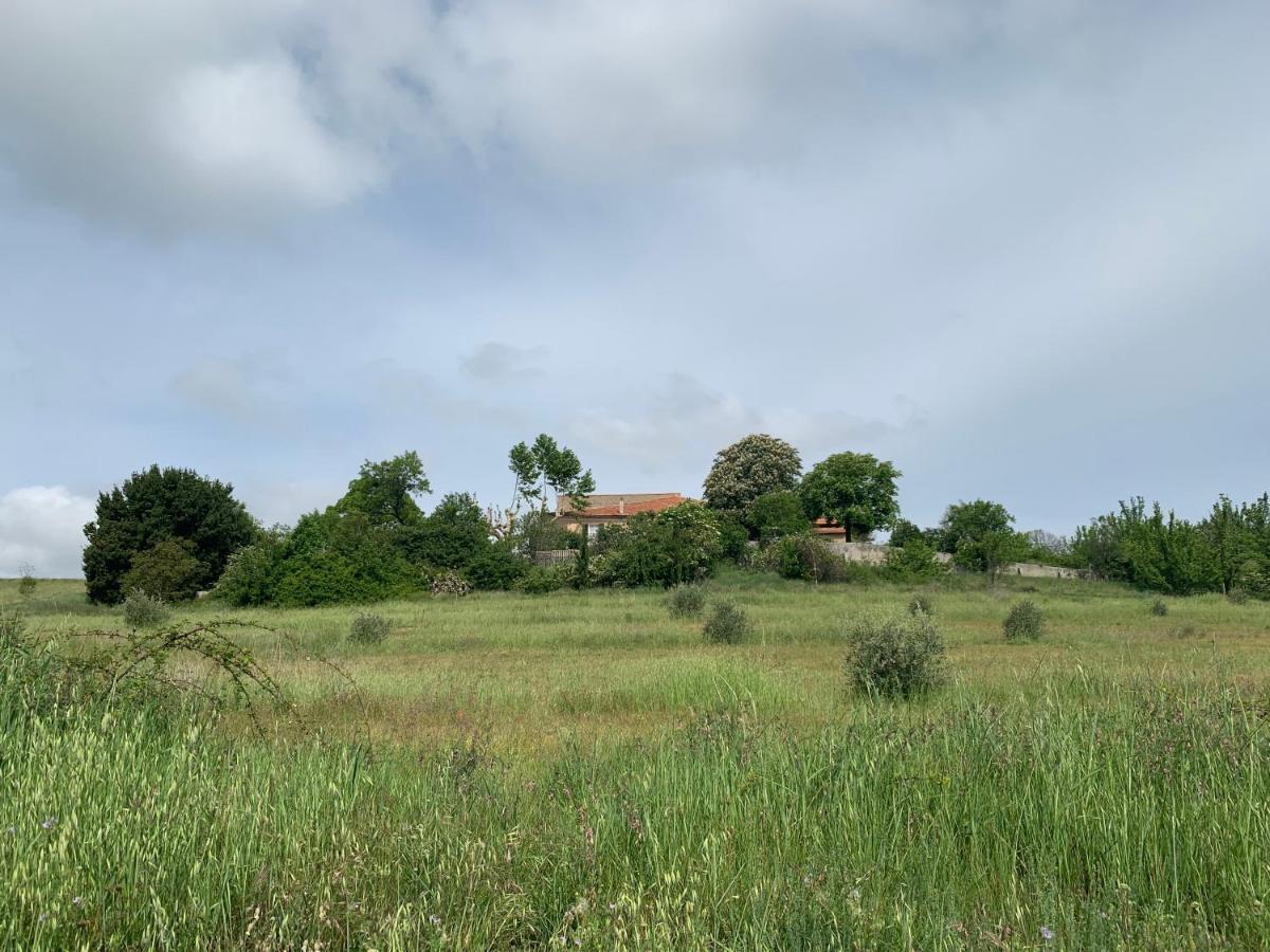 Domaine Le Commandaire Roumoules Exterior foto